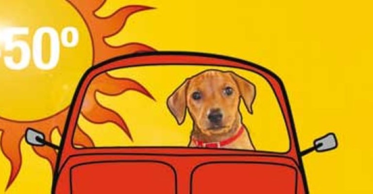 Hund i varm bil